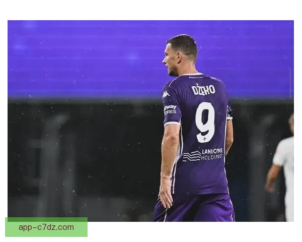 哲科赴德体检签约沙尔克中锋