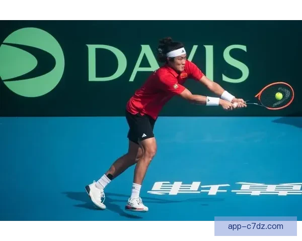 网球世界杯南沙助威中国男网