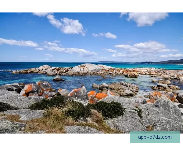 国际篮联洲际杯：澳洲塔斯马尼亚跳蚁队力挫西班牙奎梅萨队